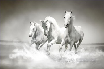 monochrome black white Painting - white horses running